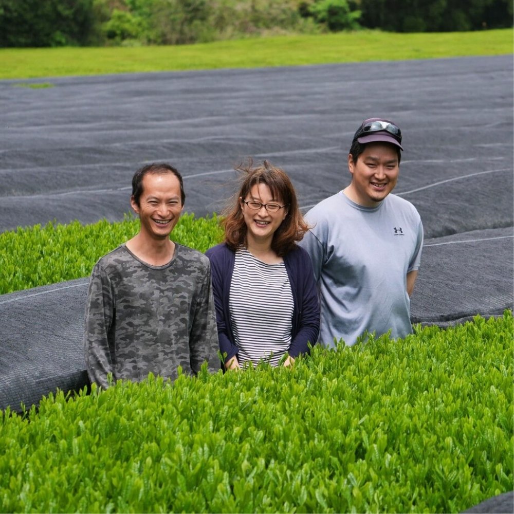 Familie Hayashi auf ihrem Teefeld