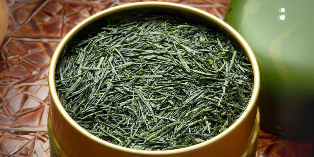 Die Nadeln eines Grüntees in einer Teedose.