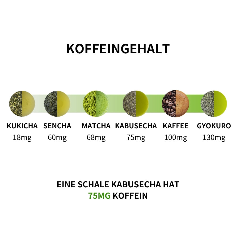 Kabusecha