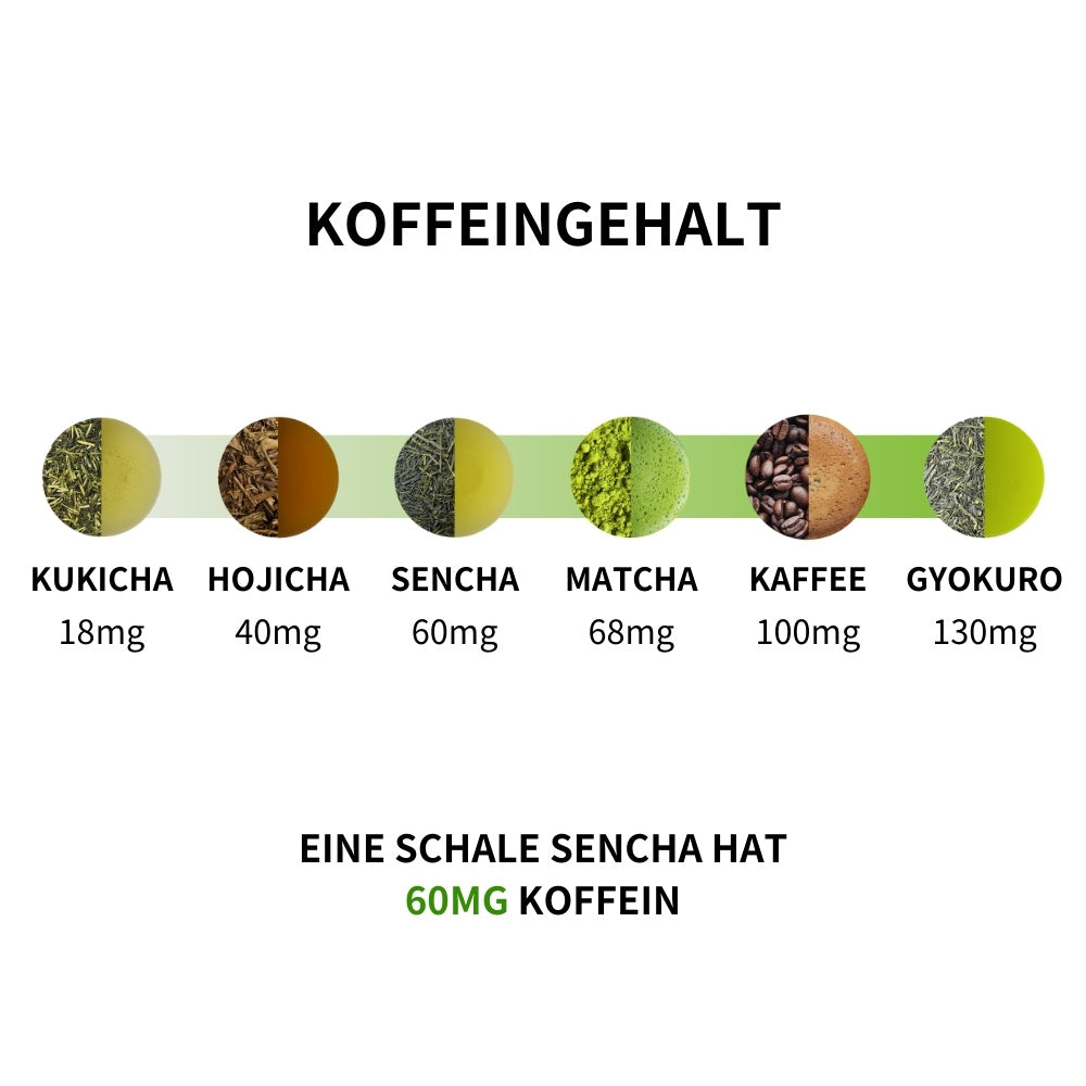 Sencha Minami Sayaka