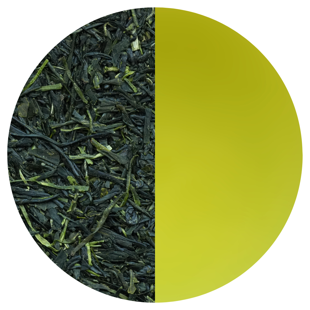 Sencha Okumidori