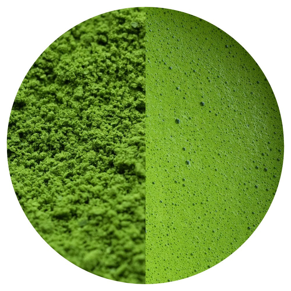 Matcha Okumidori