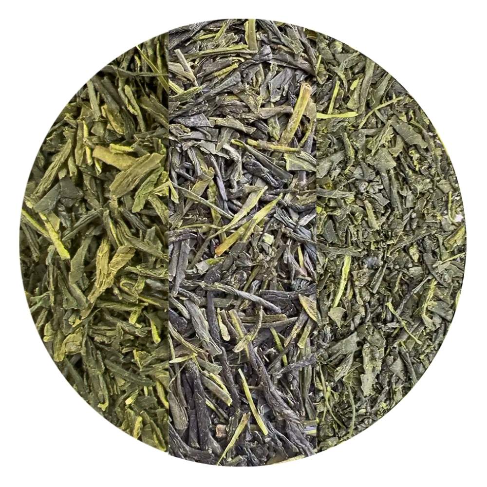 Sencha Probierset - Loser Tee