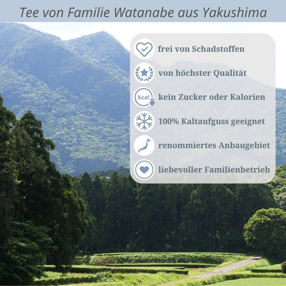 Shincha Kabuse -
