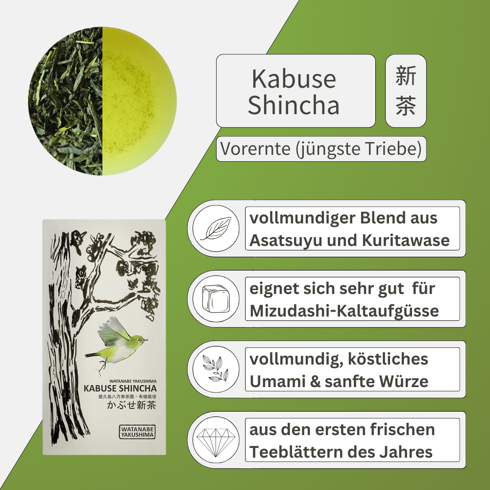 Shincha Kabuse -