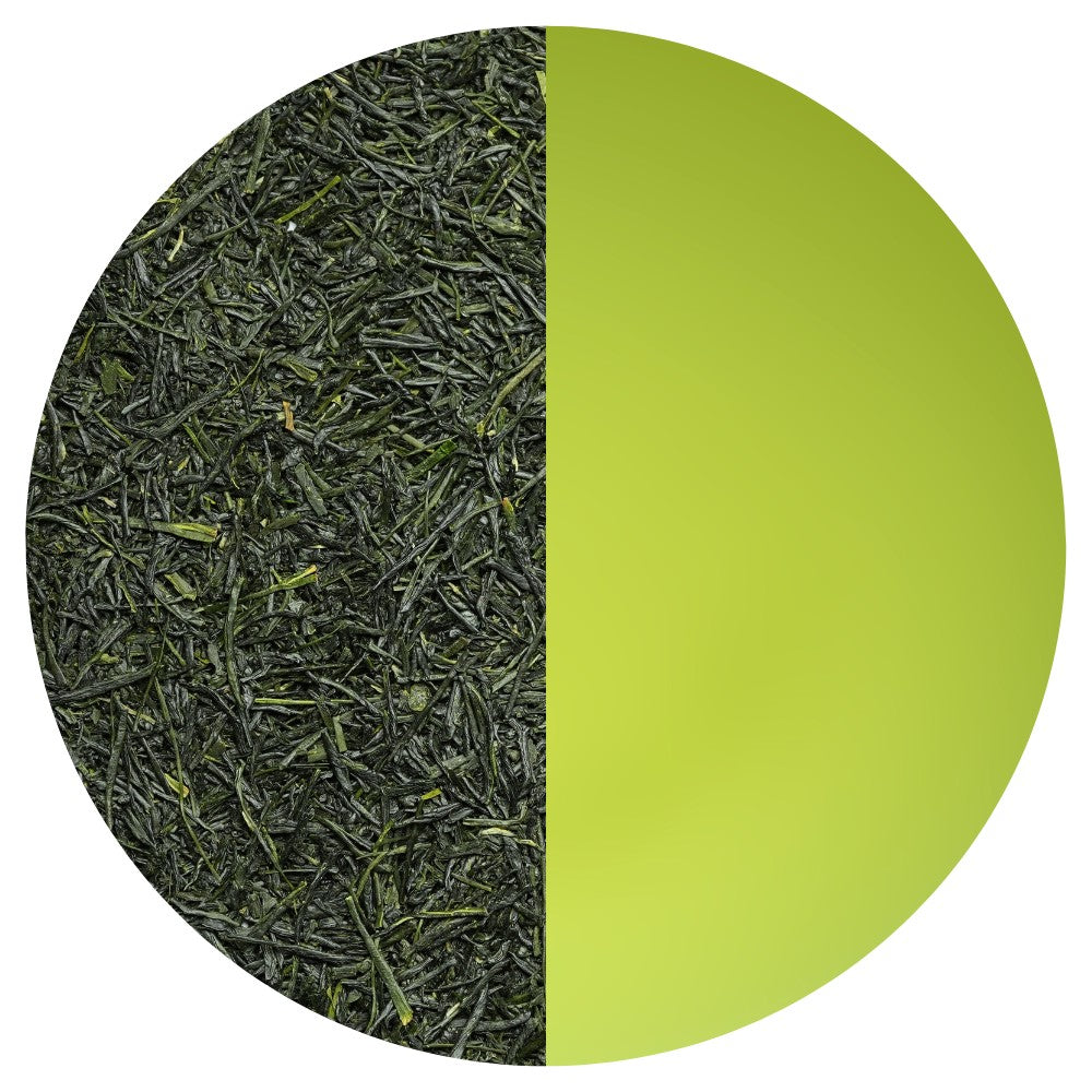 Gyokuro Asanoka