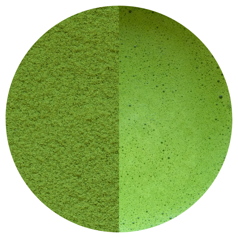 Matcha Okumidori