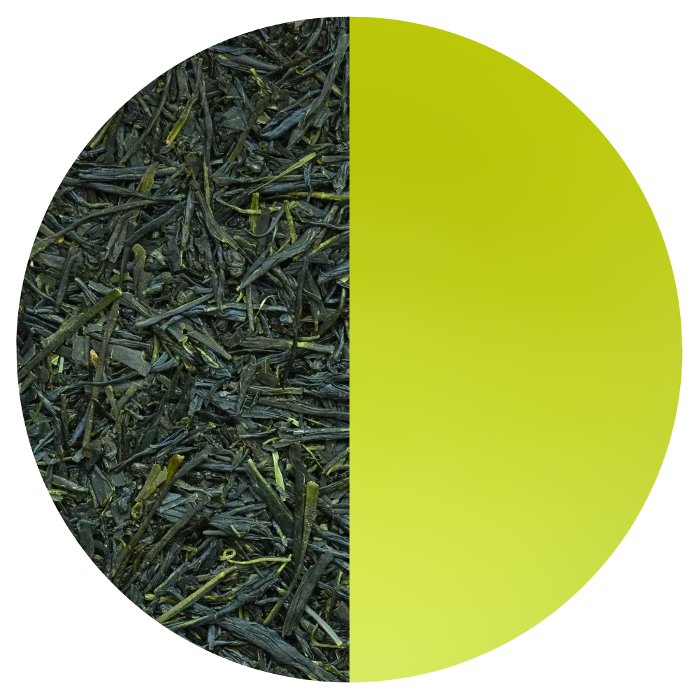 Sencha Yabukita