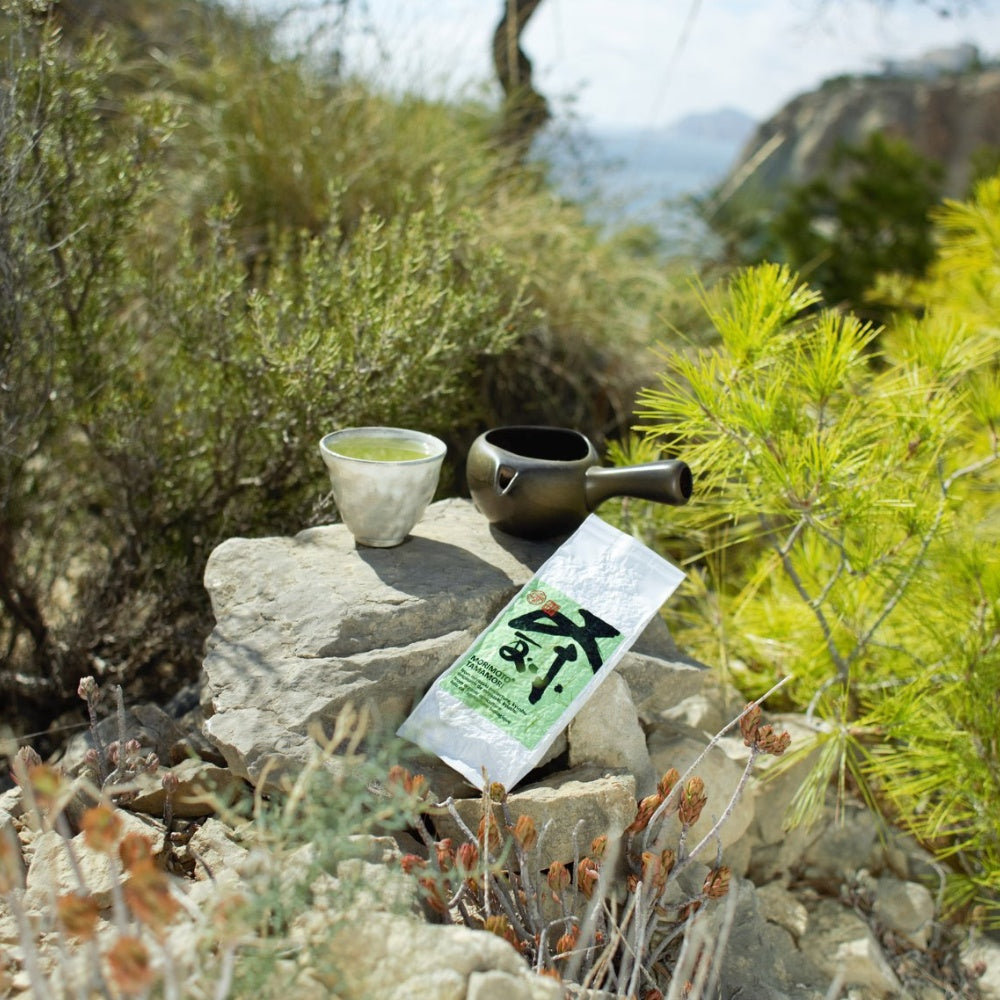 Auf einem Stein wurden Teekanne, Teeschale mit Tee und der Tamamori platziert. Im Hintergrund sind Büsche und Berge.