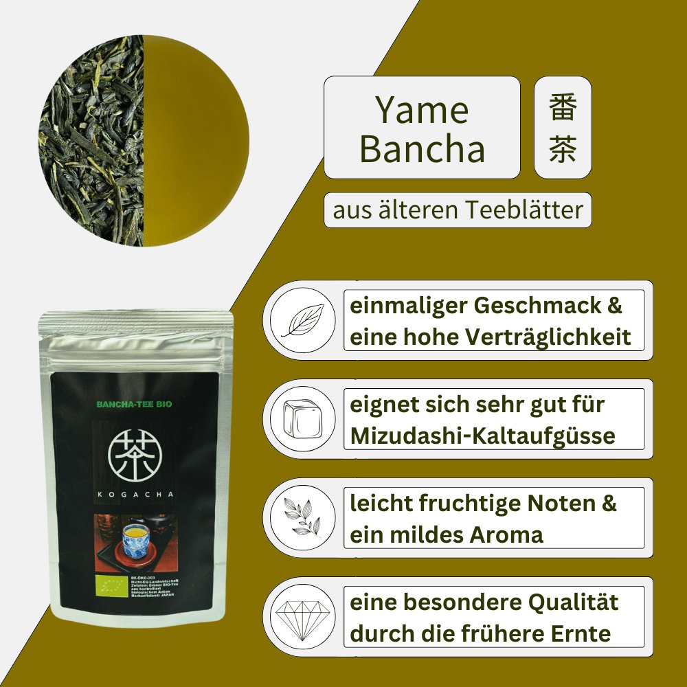 Bancha Premium BIO - Mizudashi Masters