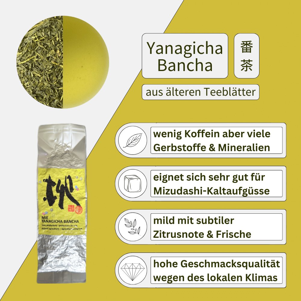 Bancha Yanagicha BIO - Mizudashi Masters