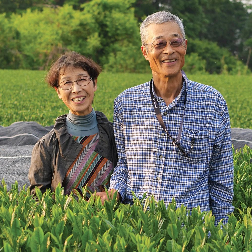 Bancha Yanagicha BIO - Mizudashi Masters