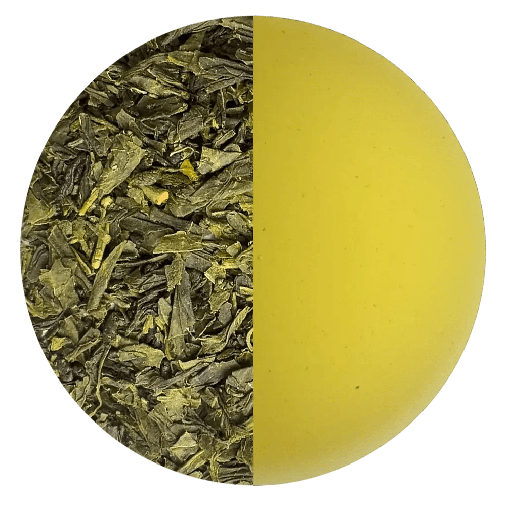 Bancha Yanagicha BIO - Mizudashi Masters