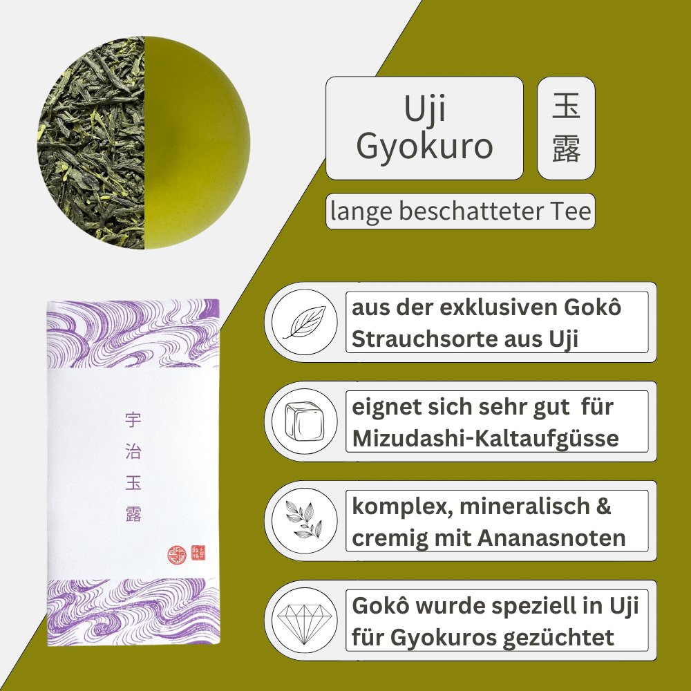 Gyokuro Set - Mizudashi Masters