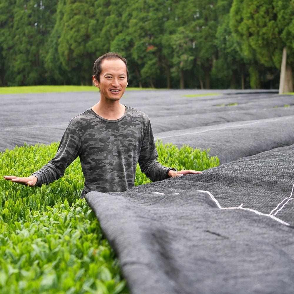 Hojicha Miyama Bio - Mizudashi Masters