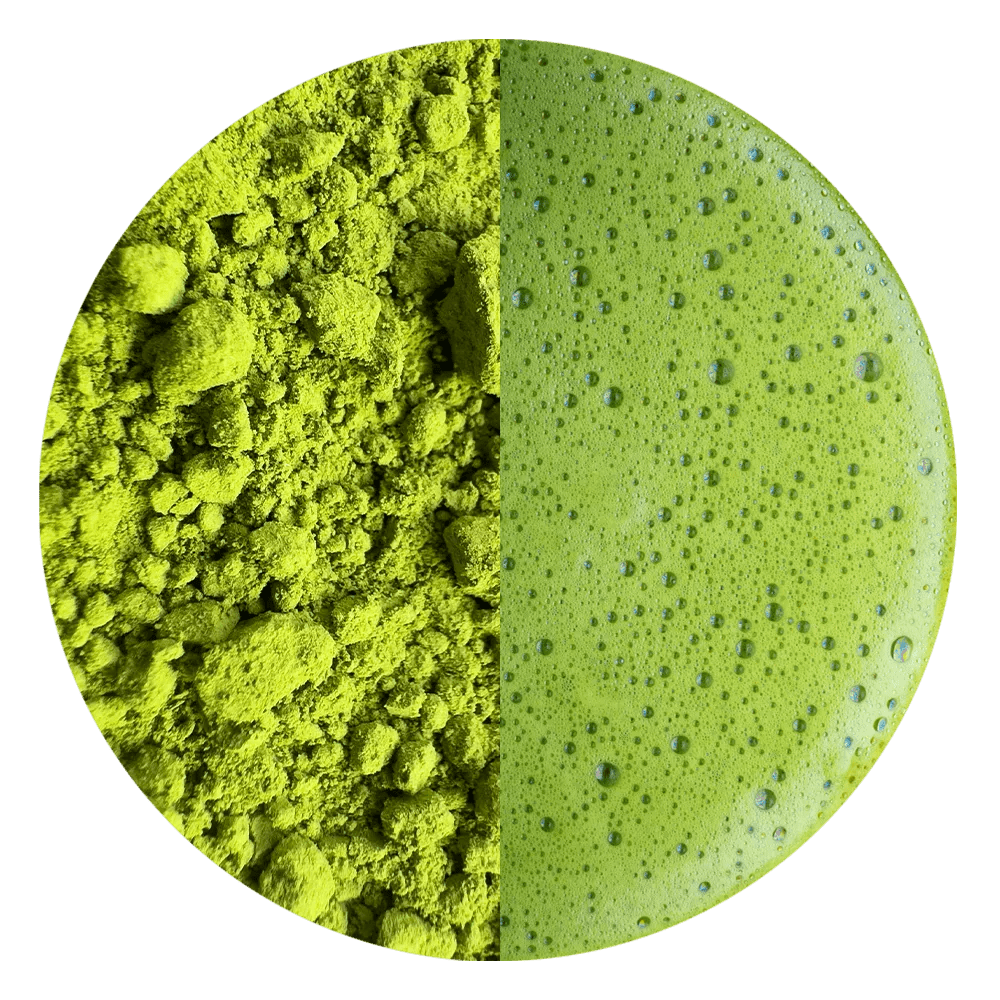 Matcha Emerald Forest BIO - Mizudashi Masters