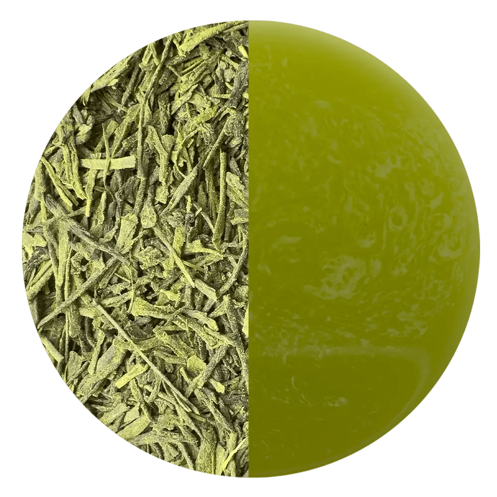 Matcha-Iri Sencha BIO - Mizudashi Masters