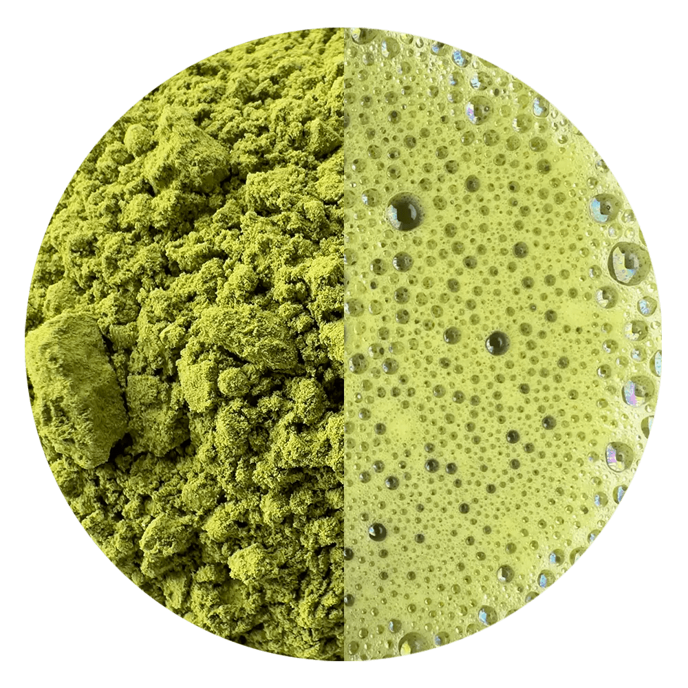 Matcha Midori BIO - Mizudashi Masters