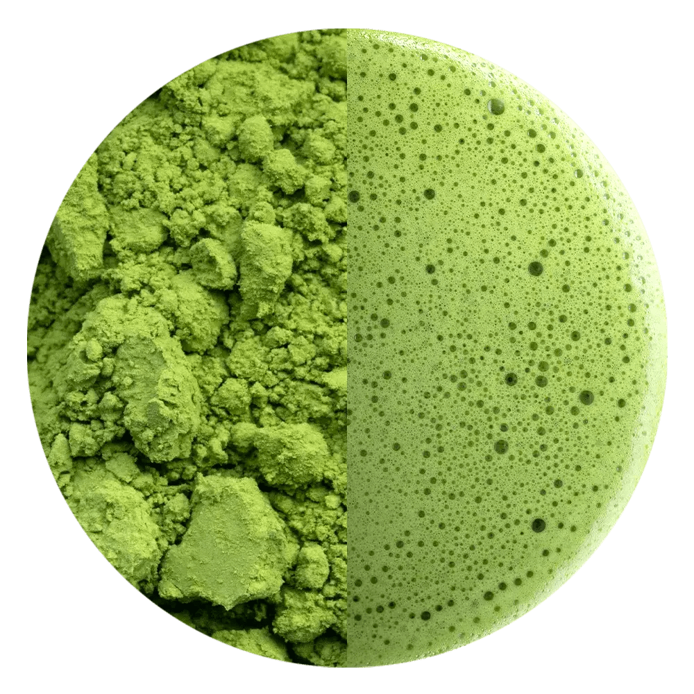 Matcha Yame BIO - Mizudashi Masters