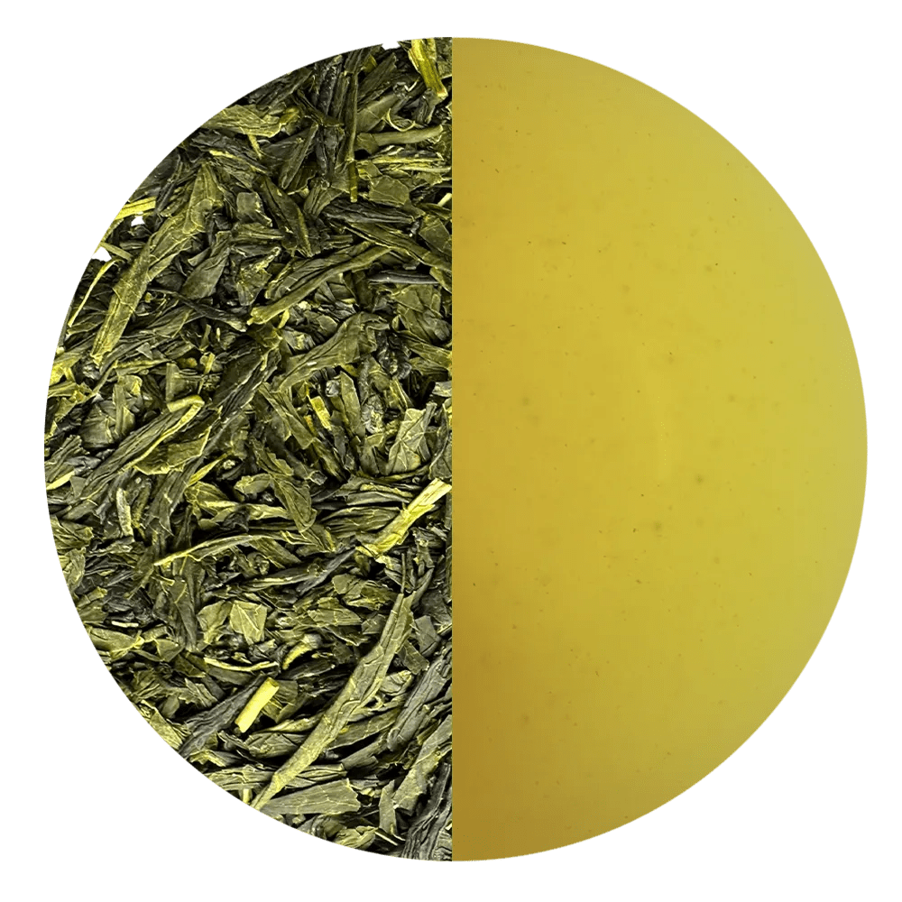 Sencha Okumidori BIO - Mizudashi Masters