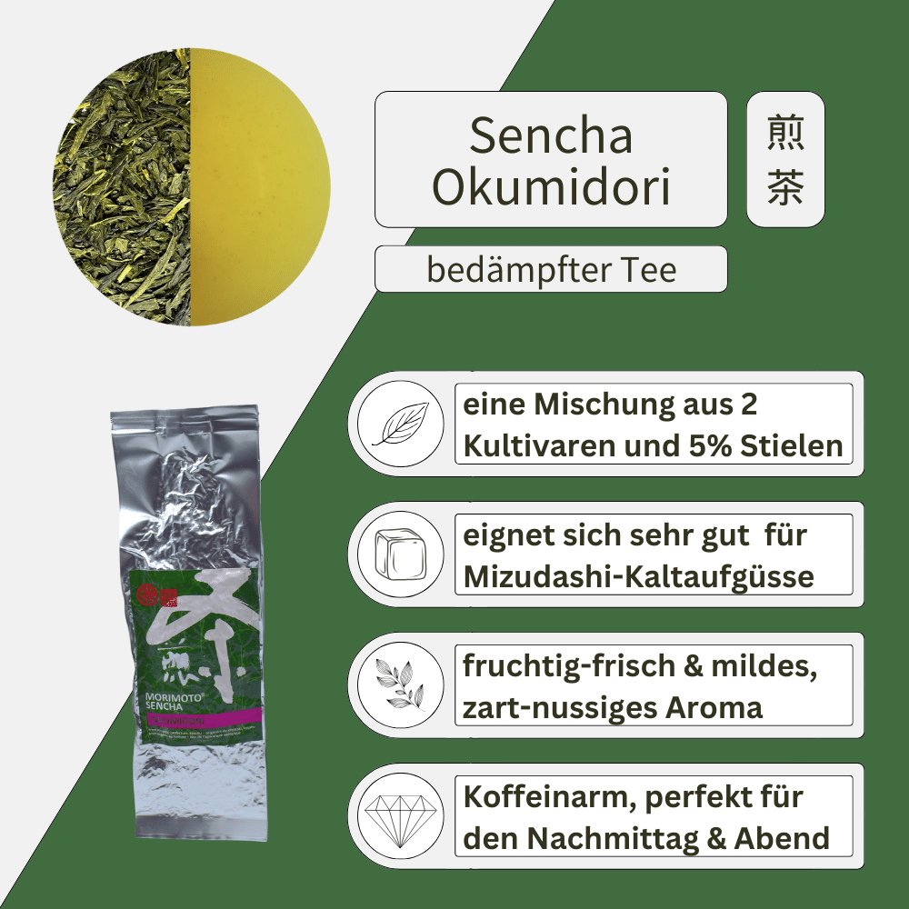 Sencha Okumidori BIO - Mizudashi Masters