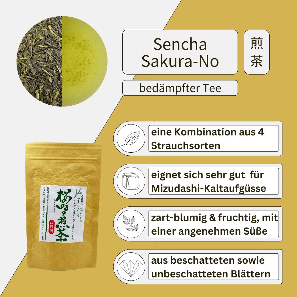 Sencha Profi Probierset - Mizudashi Masters