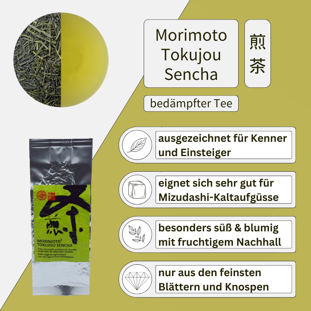 Sencha Profi Probierset - Mizudashi Masters