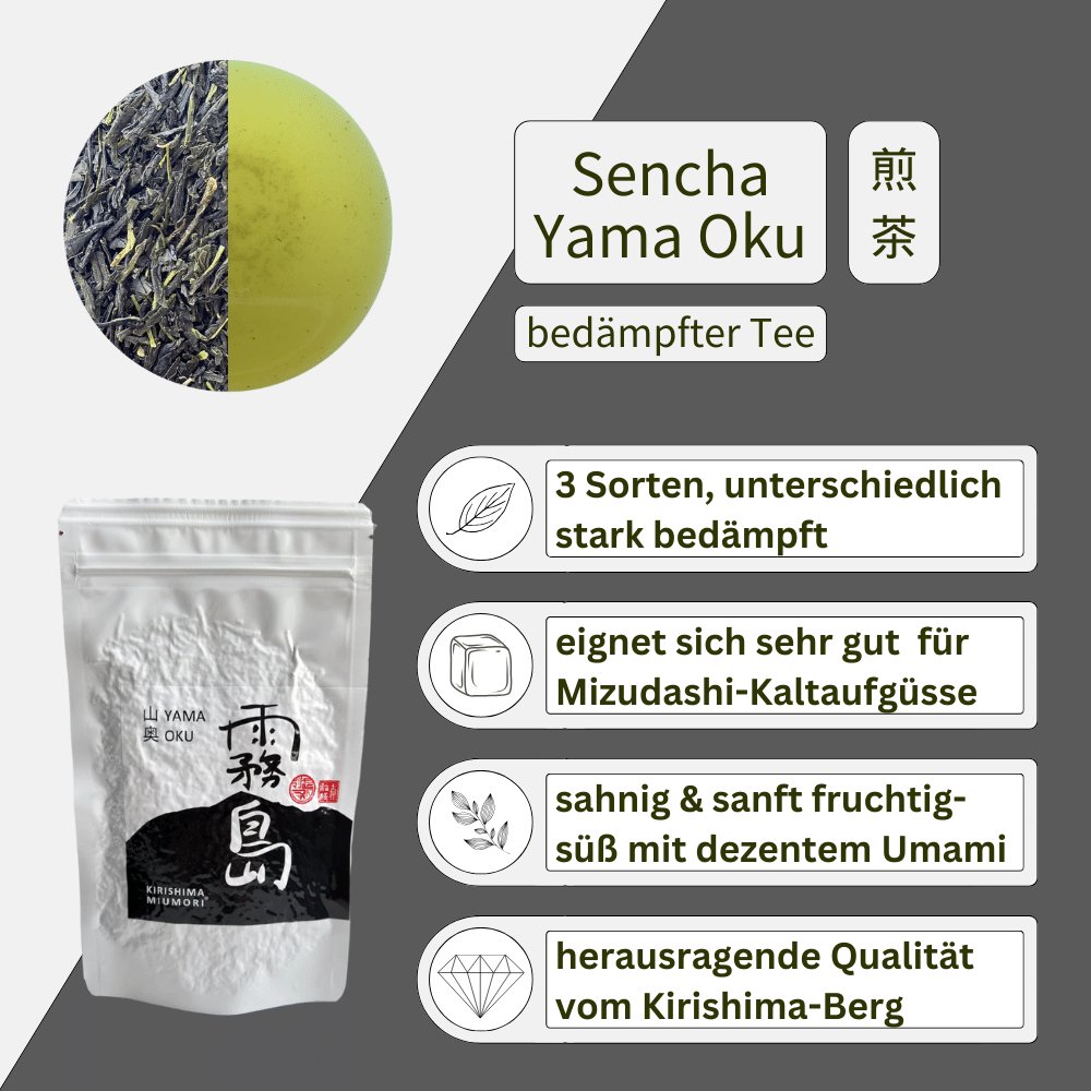 Sencha Profi Probierset - Mizudashi Masters